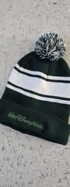 Walt Disney World Green & White Stripe Pom Beanie